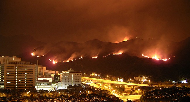 沙田廣源邨附近於2008年2月17日的山火，火場面積達5,000平方米。(相片由陳偉光先生提供)