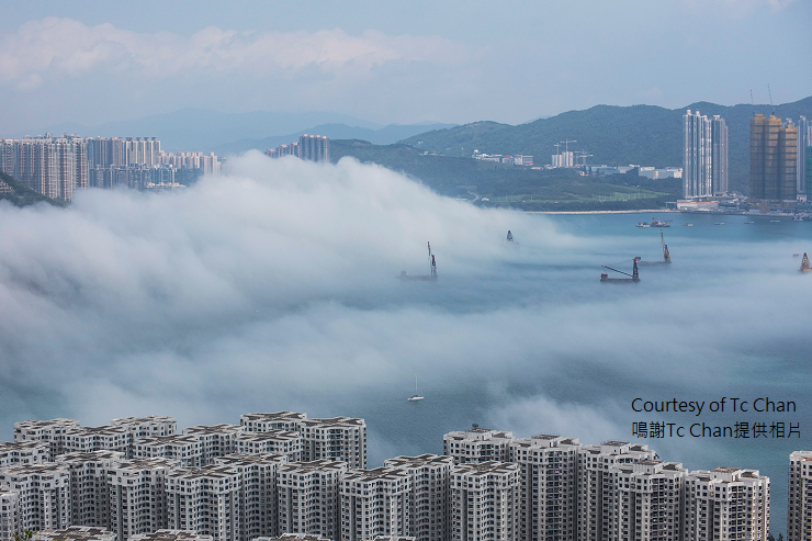 Sea fog near Hang Fa Chuen on 22 March 2020
