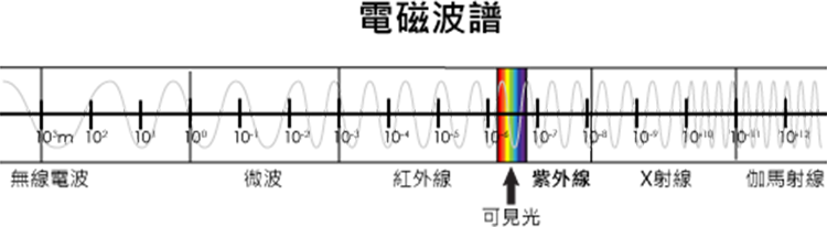 可見光是在紅外線與紫外線的波長之間
