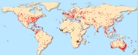 World City Forecast