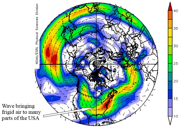 Warm Arctic, Cold Continents