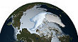 Arctic sea ice