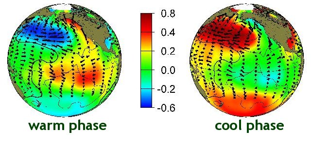 typical wintertime sea surface temperature , sea level pressure and surface  wind stress  anomaly patterns during warm and cool phases of PDO
