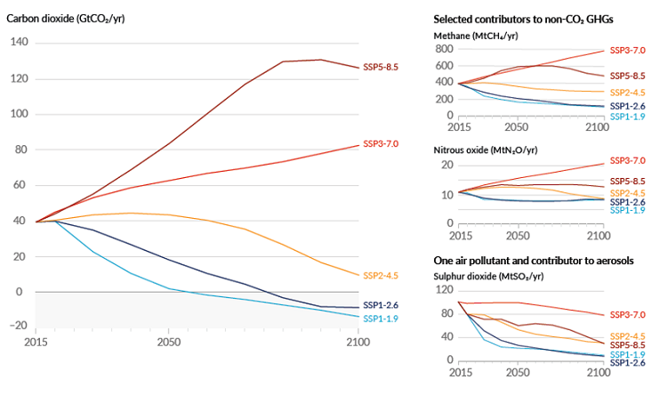 Annual human-caused emissions over the 2015–2100 period for the five scenarios