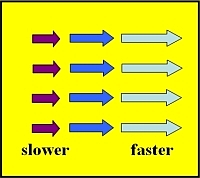 1b