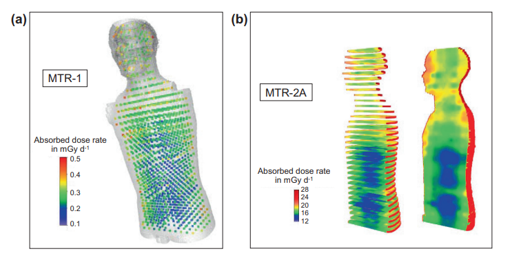 Figure 4 (a) Measured absorbed dose rate distribution in the MATROSHKA (Name of the Human Torso) phantom outside of the International Space Station (ISS) based on thermoluminescence detector readings.4 (b) Absorbed dose rate distribution in the MATROSHKA (Name of the Human Torso) phantom inside the ISS obtained by interpolation of point doses over the whole phantom volume.