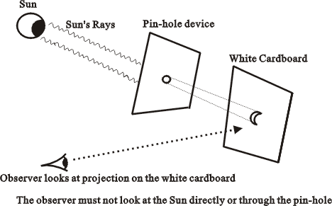 Figure 1 Projection of solar eclipse image onto a cardboard