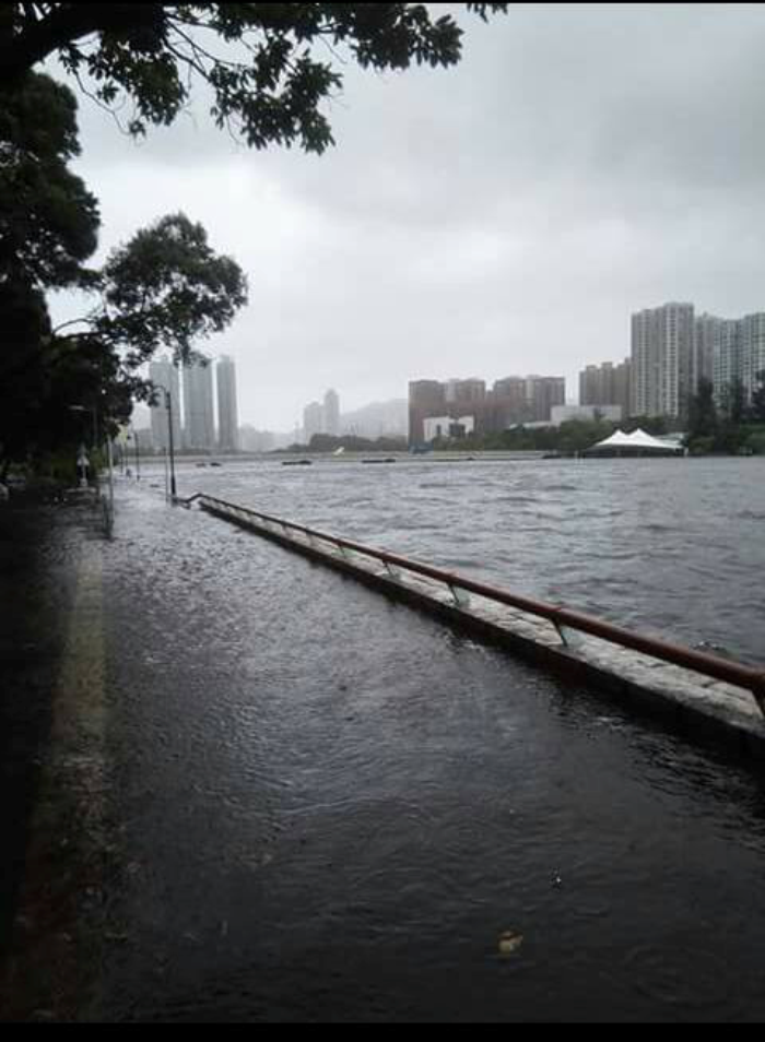 Flooding and damage caused by storm surge