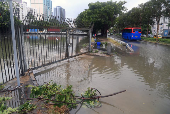 The surge of water level in Yuen Long Nullah and Shan Pui River resulted in  flooding over the areas