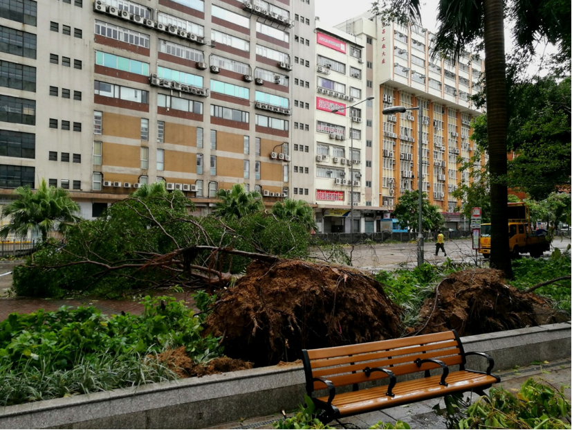 荔枝角附近长沙湾道有大树倒塌。(图片鸣谢: 社区天气观测计划Kit Lo) 

