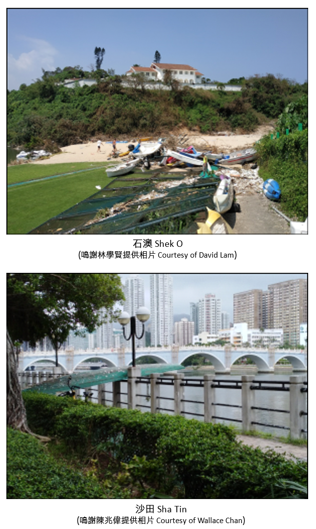 山竹袭港期间有船只搁浅、沉没或受严重破坏.