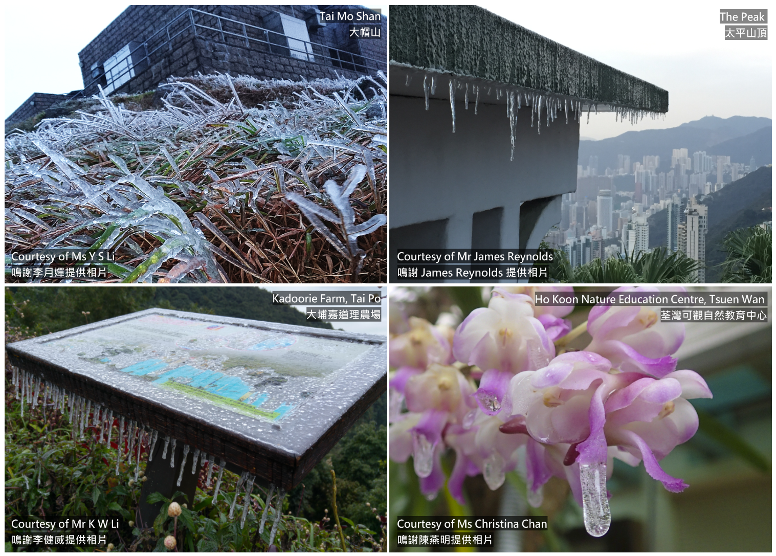 Fig. 4 Icing reported at various places in Hong Kong on 24 January 2016