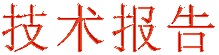 技术报告