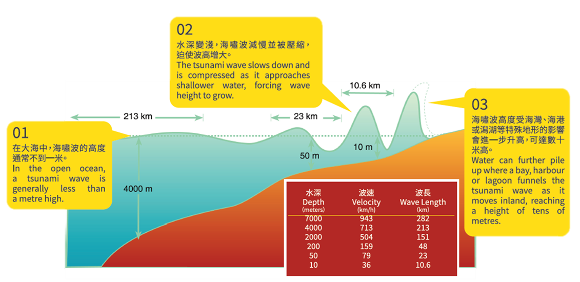 Schematic Diagram of Tsunami Wave Propagation