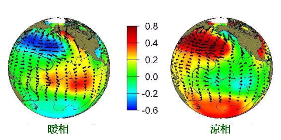 在PDO暖相和凉相时，冬天海平面温度(颜色代表)，海平面气压(等线代表)及海表风力(箭咀代表)异常的典型分布
