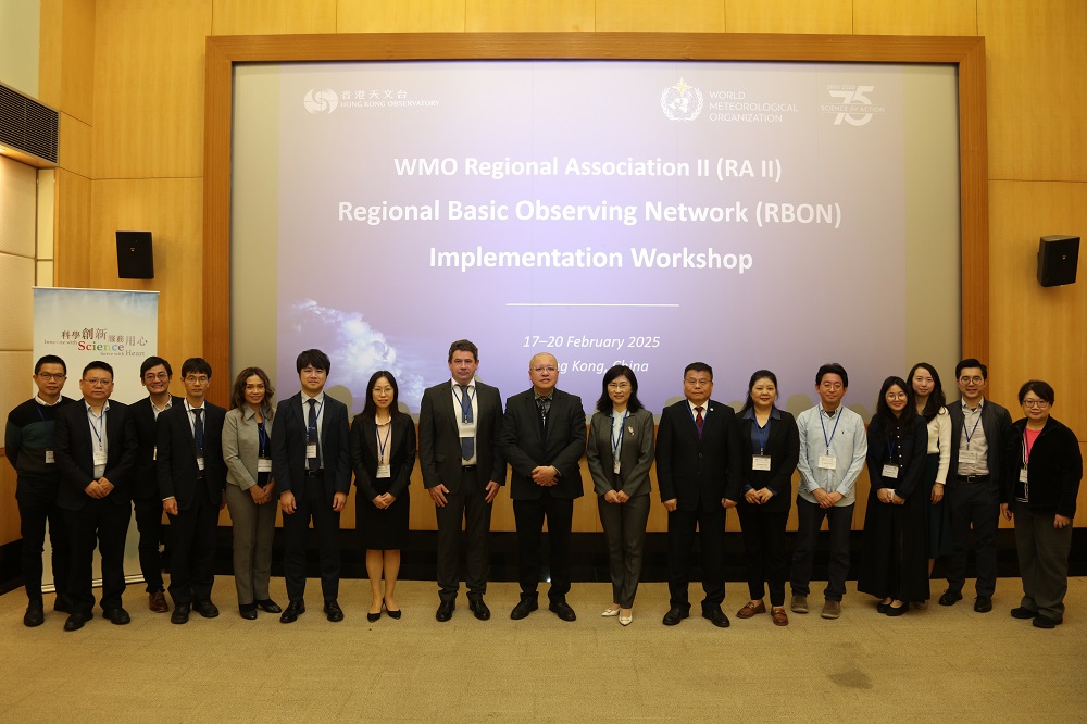 OWMO Regional Association II (RA II) Regional Basic Observing Network (RBON) Implementation Workshop (17 to 20 February 2025)