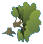 塌樹