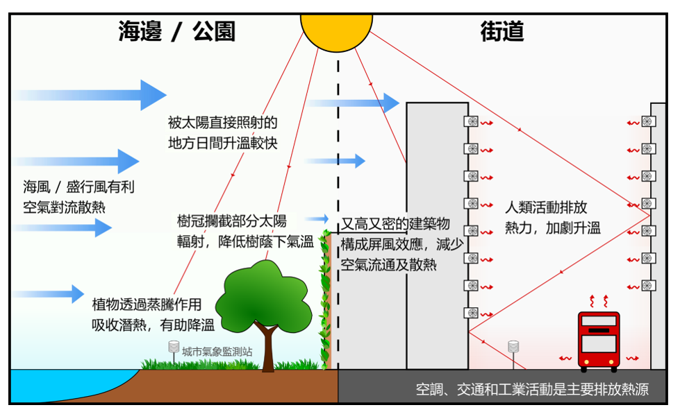 圖四 環境因素和人為活動對氣溫的影響。