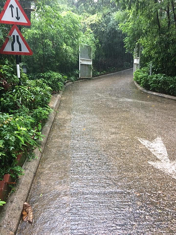 圖二　天文台總部前的斜坡每逢大雨都會變成「水滑梯」。身為黑雨期間也要上班的預報員，替換鞋襪不可或缺。