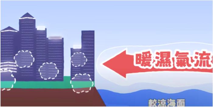 圖二 當暖濕空氣遇上較涼的海面冷卻而達到飽和,凝結成小水滴,形成薄霧或霧,使能見度下降。