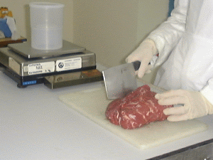 处理肉食样本