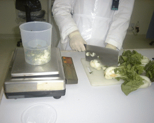 处理蔬菜及水果样本